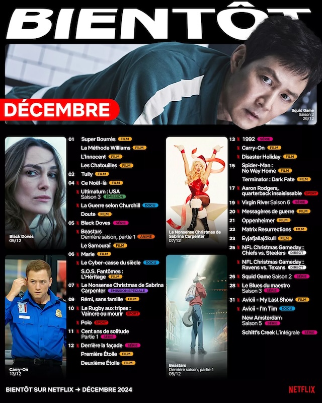 films series nteflix decembre 2024